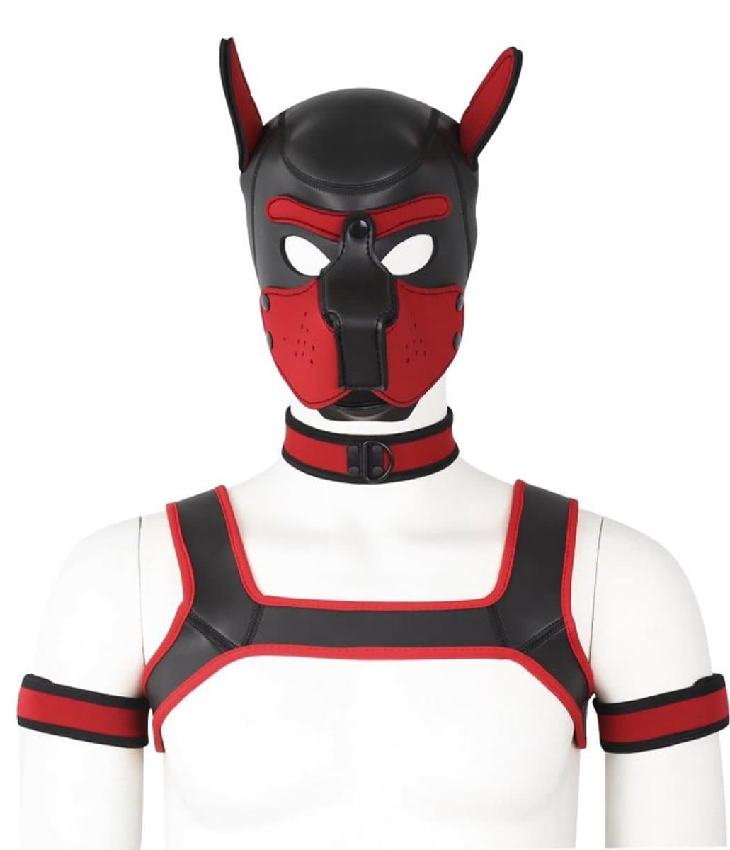 Dog/Puppy Neopreen-Set Diablo Rood — afbeelding 1