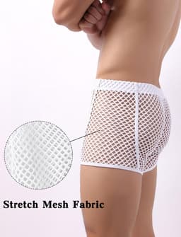 Heren Sexy Transparante Boxershorts Netstof Elastisch Ondergoed Pouch Slips — thumbnail 5