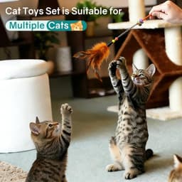 Kattenhengel met veer, interactieve speelballen voor kleine en grote katten (roze) — thumbnail 4