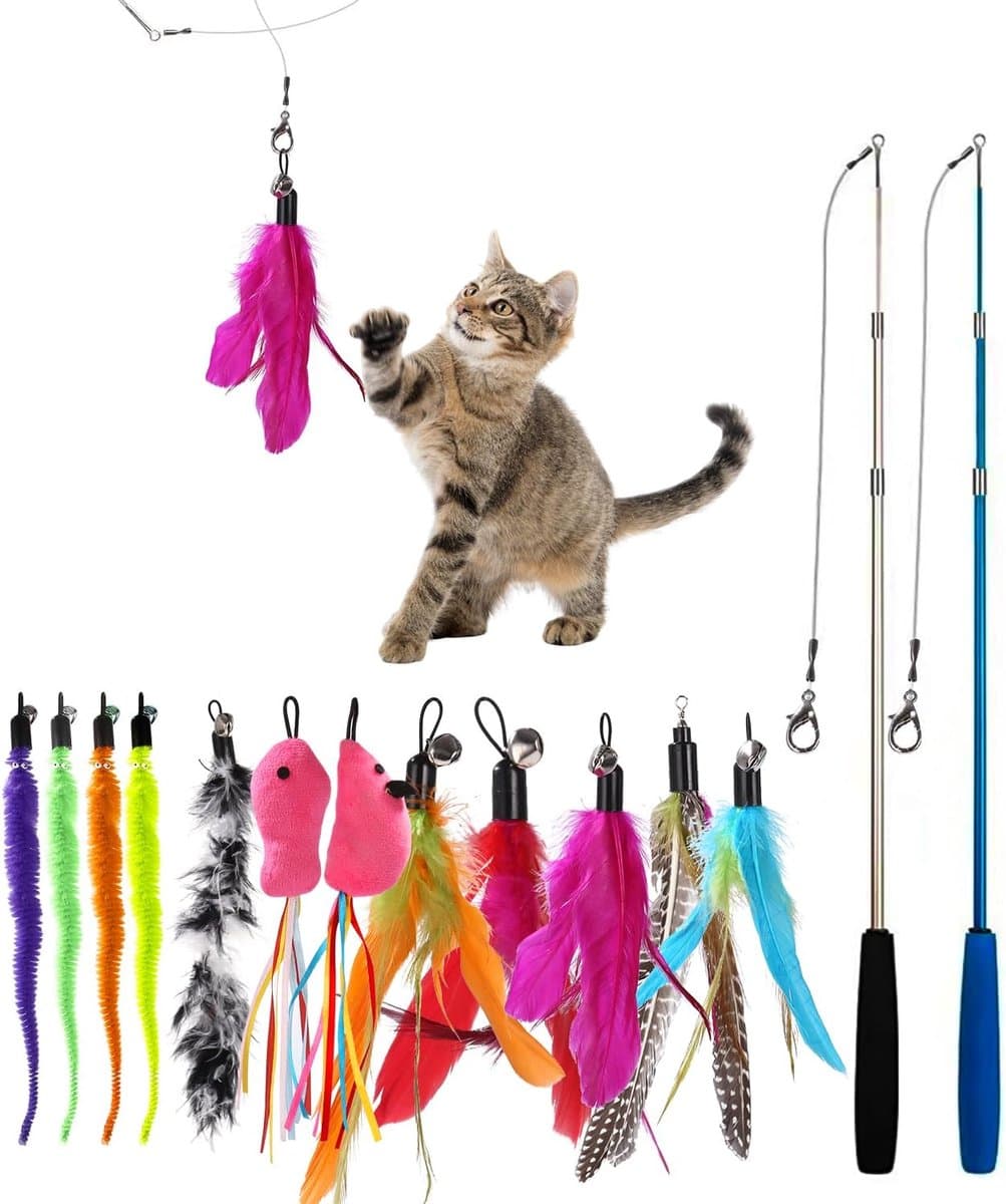 14 stuks kattenspeelgoed met veren, interactief kattenspeelgoed, veer, kattenvissen, stabiel met 2 schaalbare staven en 12 veren speelgoed met bellen voor kittens en katten — afbeelding 1