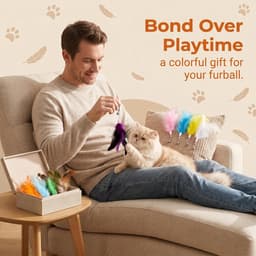 10 stuks kattenhengelreserveren, kattenveerspeelgoed van natuurlijke veren, veer kattenhengelhanger voor interactief spel, beweging en binding, voor kittens, volwassen en oudere katten — thumbnail 4