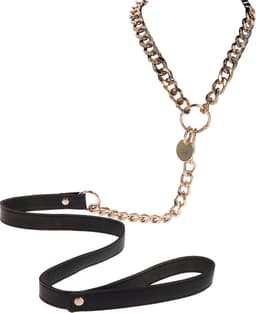 Statement Collar and leash — thumbnail 3