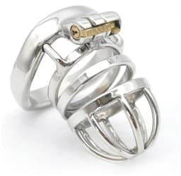 Fixxx - Albert - Kuisheidskooi - Zilver 50 mm — thumbnail 3