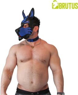 Brutus Vegan Puppy Collar - Zwart/Blauw — thumbnail 4