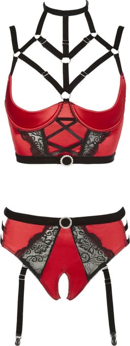 Abierta Fina Lingerie Bustier Set Open Ontwerp met Jarretel Banden — thumbnail 8