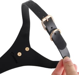 Banoch | Collar Classic | imitatie leer halsband zwart / goud | bdsm — thumbnail 4