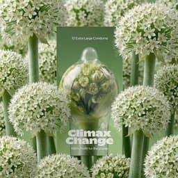 Extra Large Condooms - 24 Stuks - Premium Kwaliteit - Discrete Verzending - Climax Change — thumbnail 16