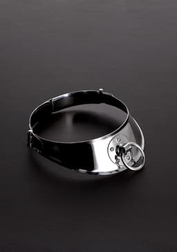 Locking Men's Collar with Ring (15") — thumbnail 4