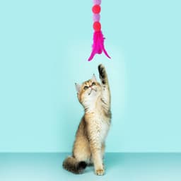Kattenveren speelgoed, zachte kattenstaf speelgoed met bel pompon kattenstaf interactief kattenspeelgoed trainingsspeelgoed kattenplagerspeelgoed voor indoor kitten — thumbnail 3