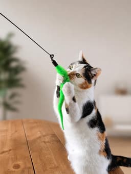 Assembly Katten Hengel Speelgoed – Interactief Kattenspeelgoed Set — thumbnail 3