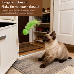 12 stuks kattenbal met veren, kattenspeelgoed, veren bal met kattenkruid, interactieve shuttle, speelgoed voor binnen en buiten — thumbnail 5