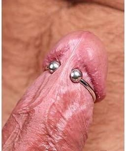 Metal Hard - Gland Ring 28Mm — thumbnail 1