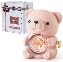 Romantische teddybeer met geconserveerde roos en hartvormige halsketting - Perfect cadeau voor Valentijnsdag, Moederdag en bruiloften — thumbnail 1