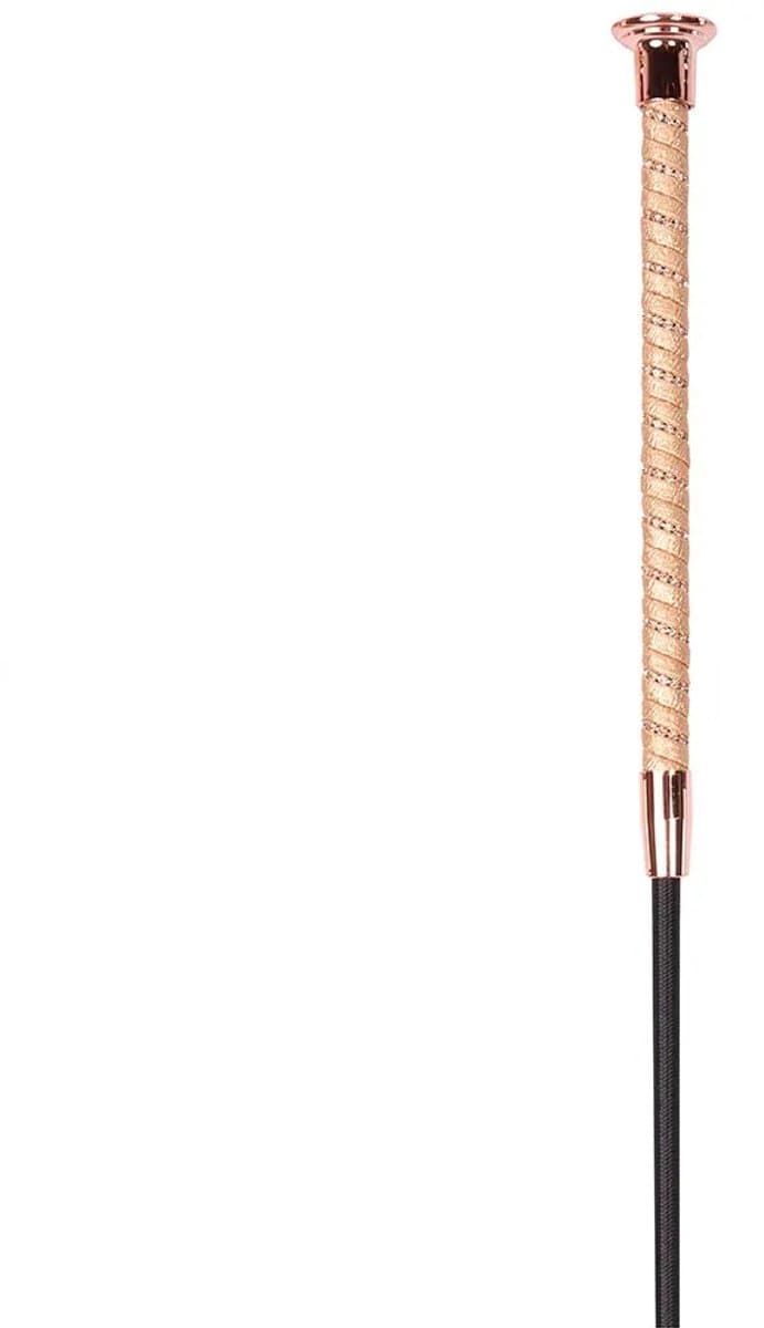 Harry´s Horse Precious Dressuur Rijzweep Goud 110 cm — afbeelding 1