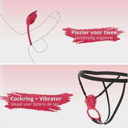 Bodybite - Draagbare Vibrator - Clitoris Stimulator - Vibrator voor Koppels - Sex Toys voor Vrouwen - Stil en Discreet - Waterafstendig - 3 Vibratie Standen - Afstandsbediening en app - Wearable Vibrator - Valentijn cadeautje voor haar - AMORA — thumbnail 7