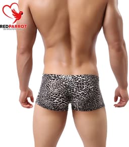 Heren boxershort Luipaard | Sexy onderbroek mannen | Erotische lingerie voor hem | Tijgerprint | Mannen slip — thumbnail 3