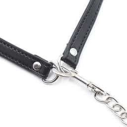 Banoch - Horsing around bit gag - siliconen paardenbit met leidsel - pony play — thumbnail 11