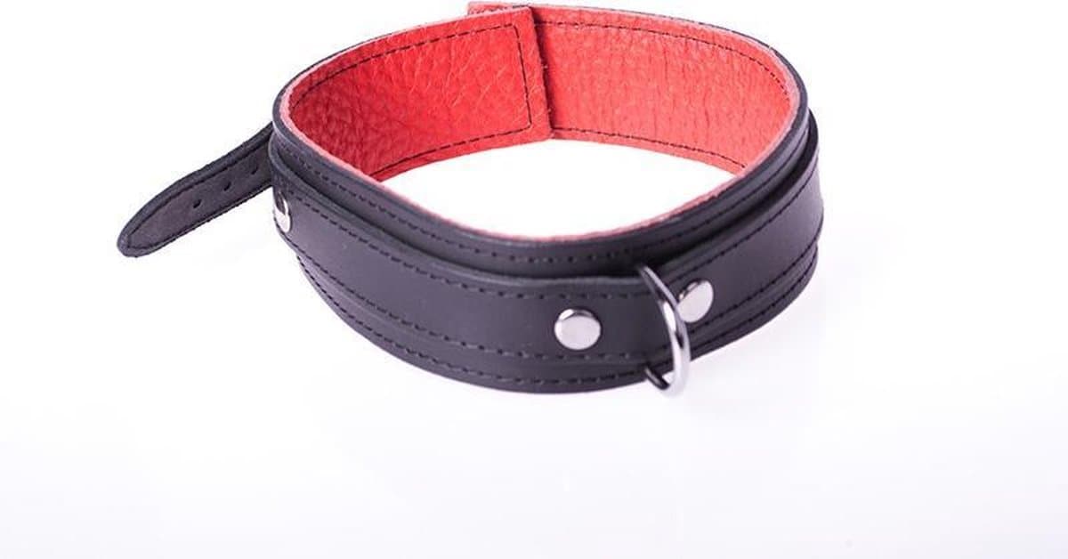 Basic Collar van Leer met Metalen D-Ring en Gesp - Zwart/rood — afbeelding 1