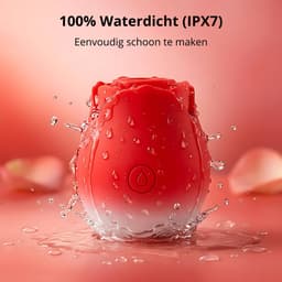 SF Toys Roos Vibrator Roze gradient – Clitoris Stimulator – 10 Zuigstanden – Beschikbaar in 6 kleuren – Stil <50dB – Waterdicht – Magnetisch Oplaadbaar – Nieuwste generatie — thumbnail 3
