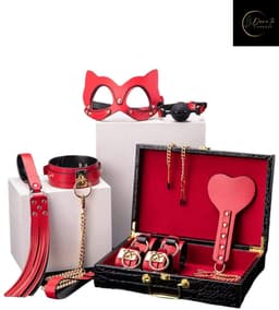 Dare to Undress – Fifty Shades of Grey – Luxe 8-delige BDSM Set met Opbergkoffer – Premium – BDSM Bondagesets - Valentijn Cadeau - Handboeien, Halsband, Masker, Gagbal & Zweep - Sex Toys voor Koppels - Seksspeeltjes voor mannen en vrouwen - Kinky — thumbnail 3