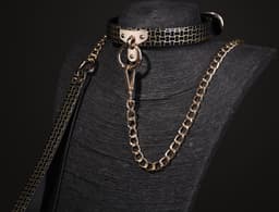 Kinky Gouden Bondage Halsband met Ketting – Fetish choker voor rollenspel & dominatrix – O-Ringchoker, Zwarte PU-leren Ketting, Gotisch Accessoire – Perfect voor Wasteland – Erotische Lingerie – B.I.T.C.H. & kinky events | Dare to Undress — thumbnail 5