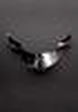 Locking Men's Collar with Ring (15") — thumbnail 7