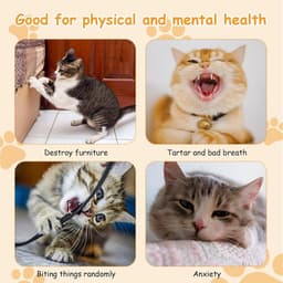 7 stuks kattenspeelgoed, interactief kattenspeelgoed met veren, kattenspeelgoed met 2 intrekbare kattenhengelvervangingen en 5 veren speelgoed met belletjes, voor kleine huiskatten — thumbnail 5