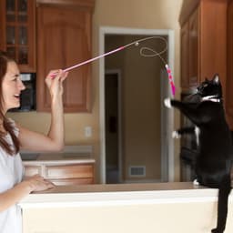 Kattenveren speelgoed, zachte kattenstaf speelgoed met bel pompon kattenstaf interactief kattenspeelgoed trainingsspeelgoed kattenplagerspeelgoed voor indoor kitten — thumbnail 2