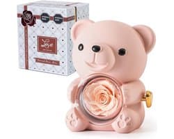 Romantische teddybeer met geconserveerde roos en hartvormige halsketting - Perfect cadeau voor Valentijnsdag, Moederdag en bruiloften