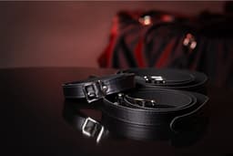 Volledige Lichaam Bondage Riemen — thumbnail 2