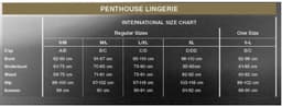 PENTHOUSE BODYSTOCKINGS | Penthouse Magical Mistress Bodystocking S/m/l — thumbnail 5