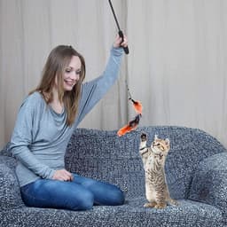 13-delige speelset met veren voor katten, interactieve staaf met 12 navulveren, interactief speelgoed voor katten. — thumbnail 2