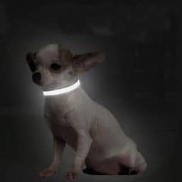 Dailygoods- Halsband Reflecterend - Verstelbaar - Hondenhalsband - Zacht Neopreen - Roestvrij Staal - Geschikt voor kleine/medium/grote honden (hals 26-42cm) — thumbnail 5