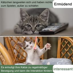 10 stuks kattenspeelgoed met veer - Kleurrijke spiraal - Van gekleurd plastic - Kattenspeelgoed - Bijten en kittens jacht - Willekeurige kleur — thumbnail 4