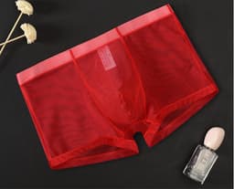 Transparante Sexy Boxershorts Heren Ondergoed - Doorzichtige Slip voor Mannen — thumbnail 4