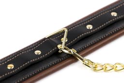 Banoch - Collar & leash Gold - Halsband en Riem - cognac bruin met goud - bondage — thumbnail 13