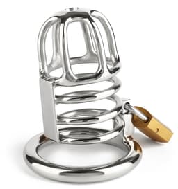 Master Chastity Cock Cage — thumbnail 4