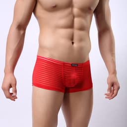 Doorzichtige Boxershort Heren - Sexy, Glad en Comfortabel Ondergoed — thumbnail 4