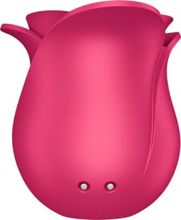 Satisfyer Pro 2 Modern Blossom | 6,5 cm | Liquid Air Technologie | Air Pulse Vibrator | 11 drukgolfprogramma's | Oplaadbare batterij | Waterdicht (IPX7) | Huidvriendelijke siliconen — thumbnail 21