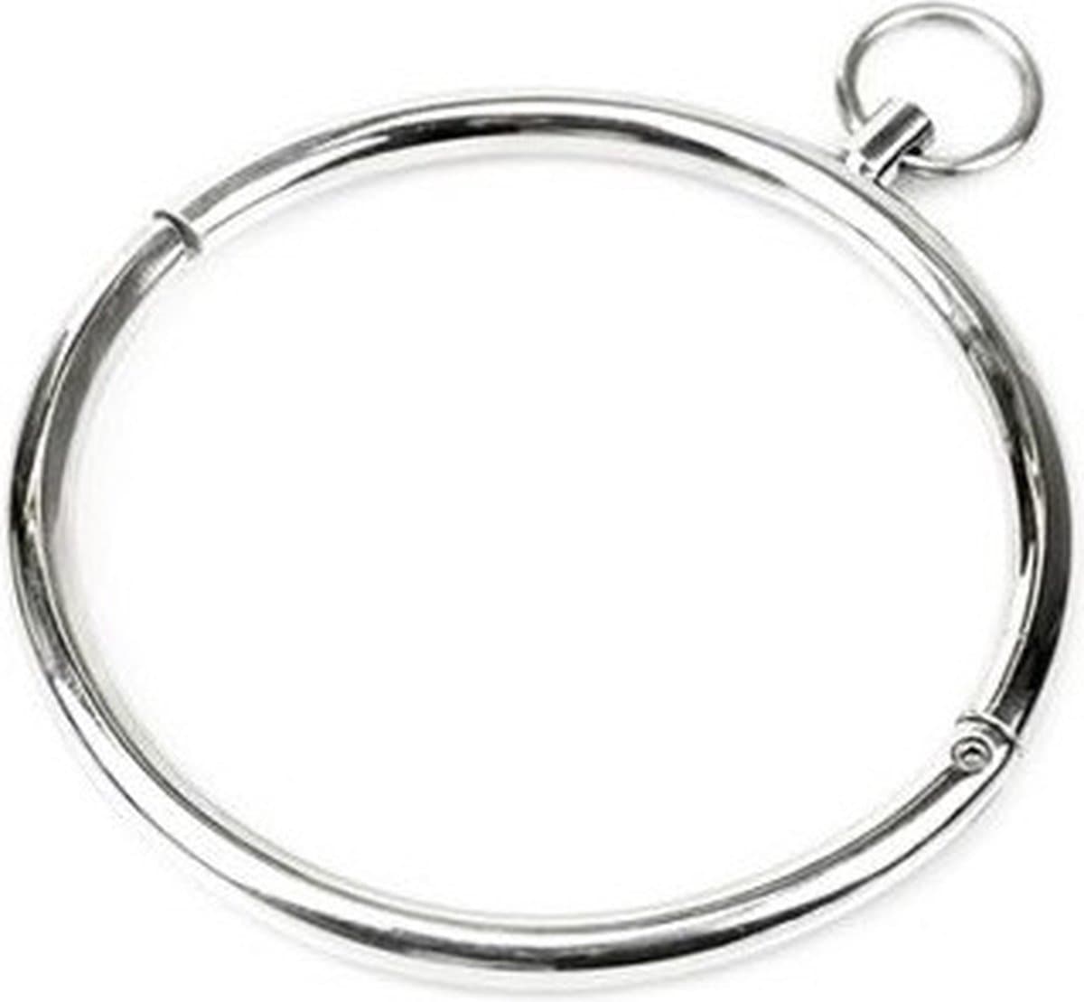 Cathedral Ronde Collar met Kristal en zonder slot - large — afbeelding 1