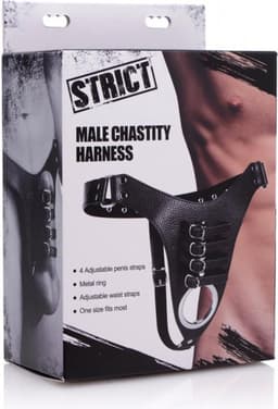 Strict Male Chastity Harness — thumbnail 4