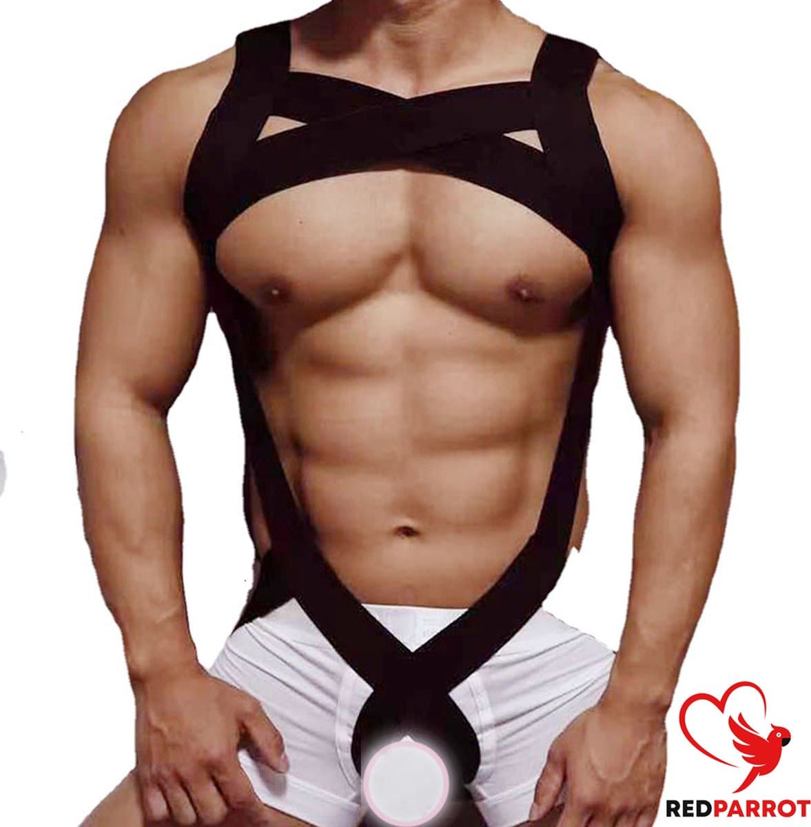 Mannen bondage harnas + penis bondage | Borst | Halter | Elastisch | BDSM outfit | One size | Voor hem — afbeelding 1