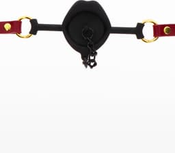 Kinky Gag with Plug — thumbnail 1