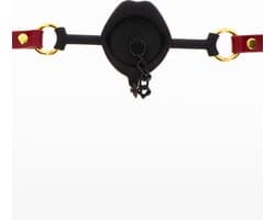 Kinky Gag with Plug