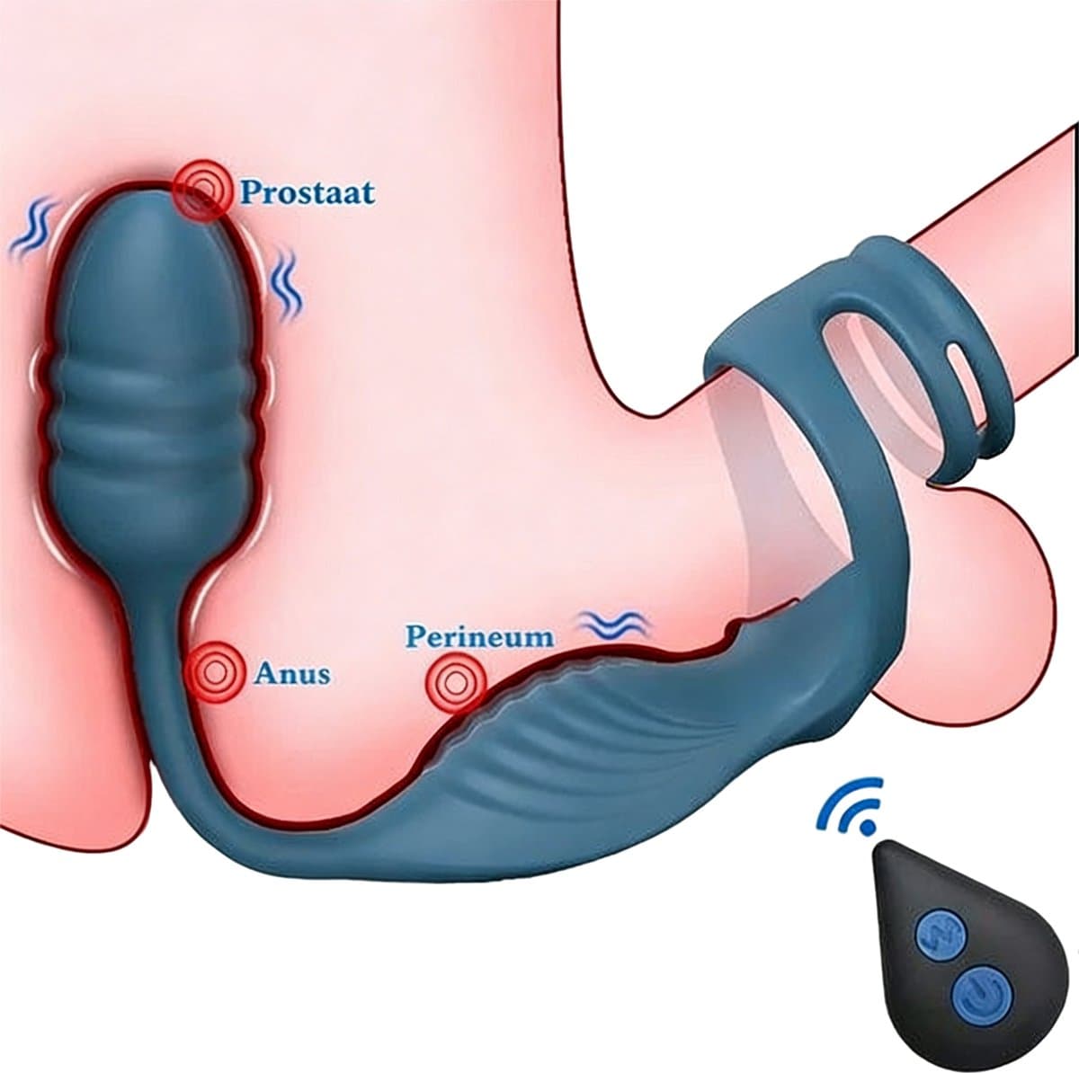 Penisring met Scrotumvibrator en Anusvibrator - Orgasme — afbeelding 1