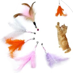 5 stuks reserve-kattenspeelgoed, kattenspeelgoed, veerspeelgoed voor katten, kattenhengel, inclusief navullingen voor natuurlijke kattenveren — thumbnail 1