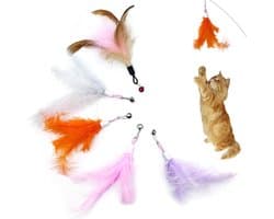 5 stuks reserve-kattenspeelgoed, kattenspeelgoed, veerspeelgoed voor katten, kattenhengel, inclusief navullingen voor natuurlijke kattenveren