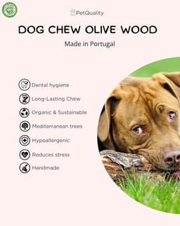 Dog toy for chewing, bite toy, stick – Olive wood – PetQuality (medium) - ShopVlot — thumbnail 2