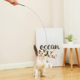 Interactief kattenspeelgoed voor katten, interactief kattenspeelgoed met zuignap en veren, toverstaf met kattenklokken voor het trainen van katten en kittens (C) — thumbnail 5