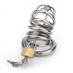 Birdy metalen kuisheidskooi 8 x 3,5 cm - Cockring Maat 40 MM - Metalen Penis Kooi - Metalen Chastity — thumbnail 2